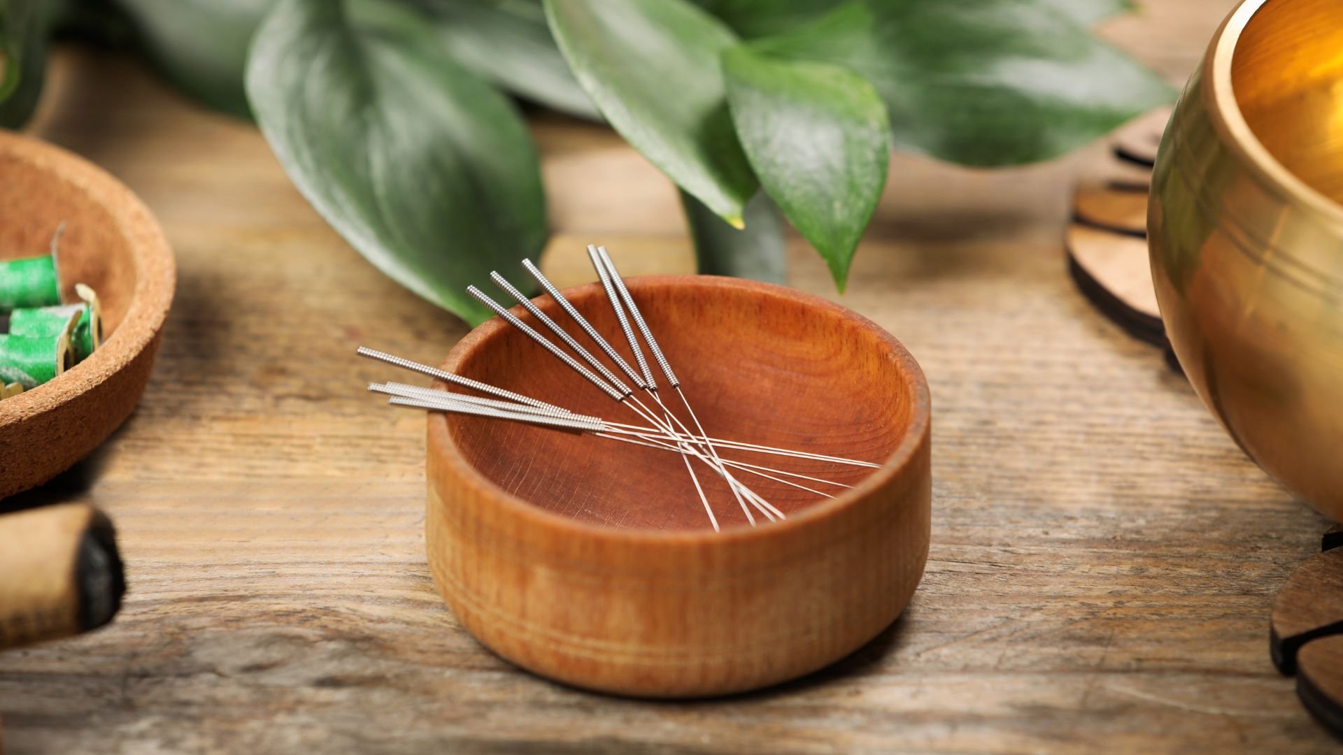 Acupuncture needles in wooden bowl with green leaves in background
